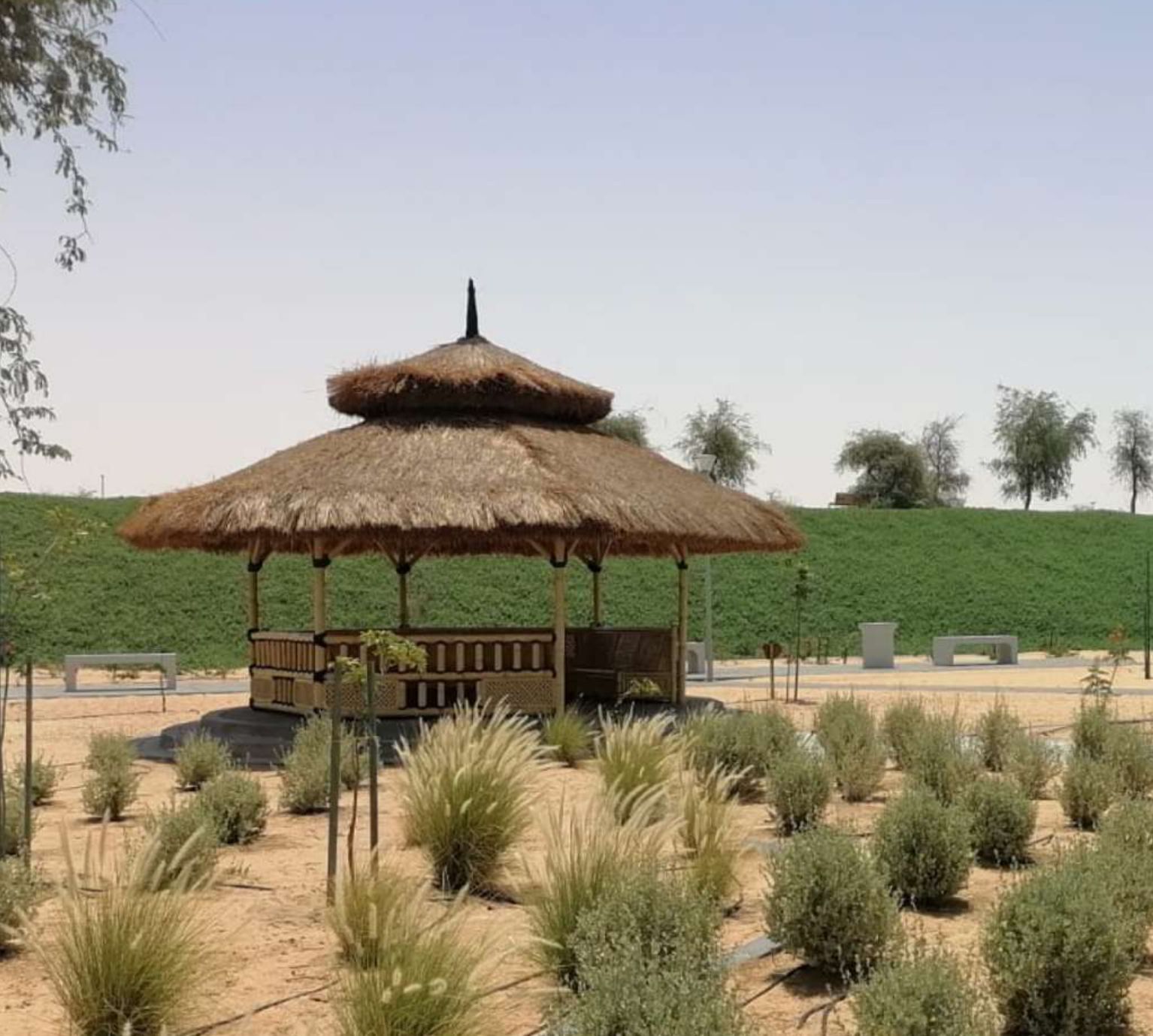 Landscaping Services